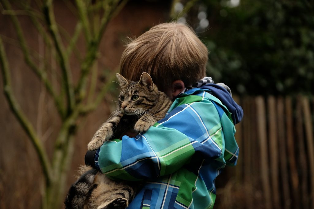 friendship
