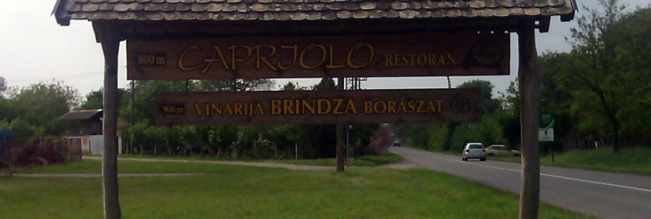 Capriolo