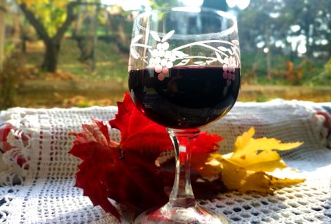 Marinirinje glass of red wine Foto M Jablanov