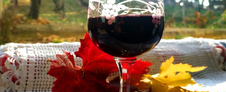Marinirinje glass of red wine Foto M Jablanov