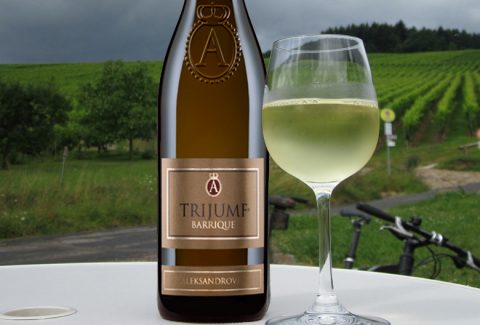 Mariniranje wine trijumf barique