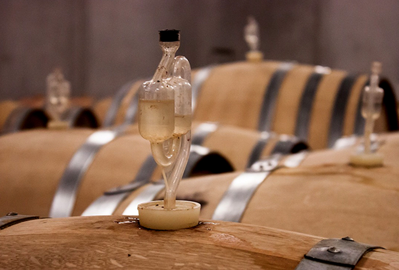 wine barrels Mariniranje photo by Leo Hau on Pixabay