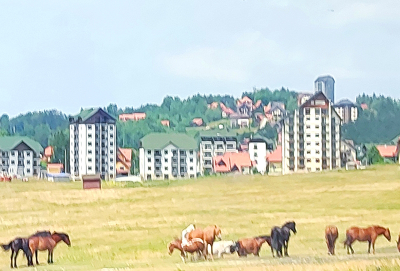 Zlatibor Foto Mariniranje