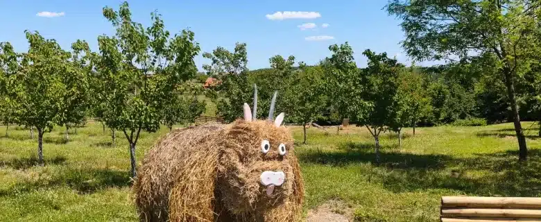 My little farm Foto Mariniranje