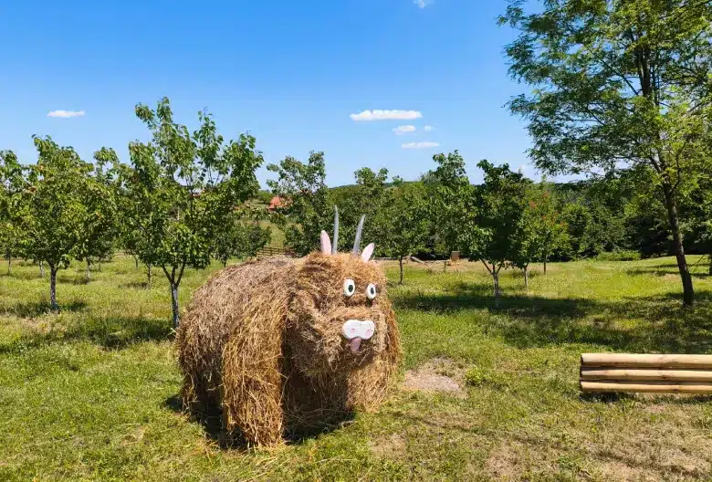 My little farm Foto Mariniranje