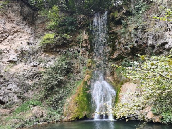 LEPOTE SRBIJE: Spomenik prirode Lisine